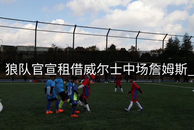 狼队官宣租借威尔士中场詹姆斯 合同含买断条款